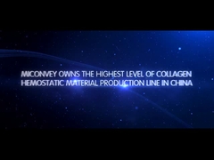 Introduction de MICONVEY Company